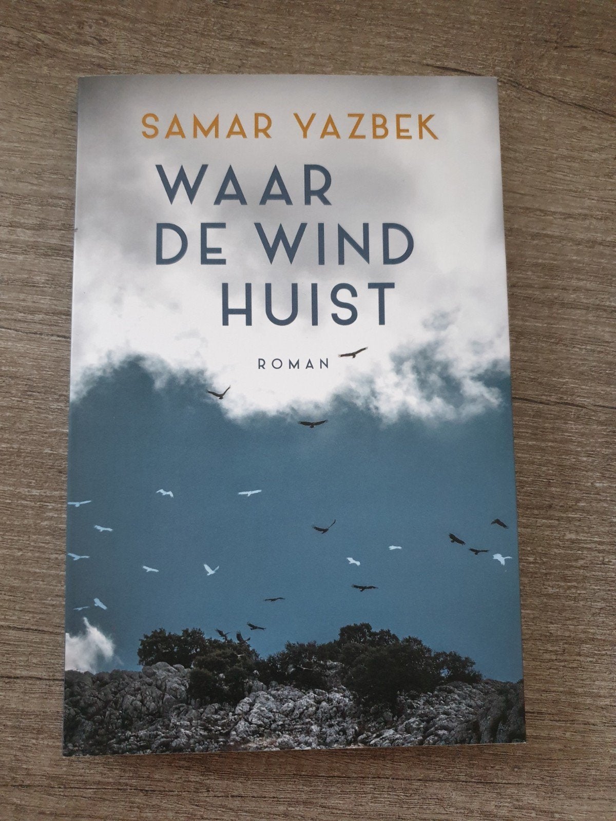 Waar de wind huist - Samar Yazbek (Roman), Ophalen of Verzenden, Gelezen, Samar Yazbek
