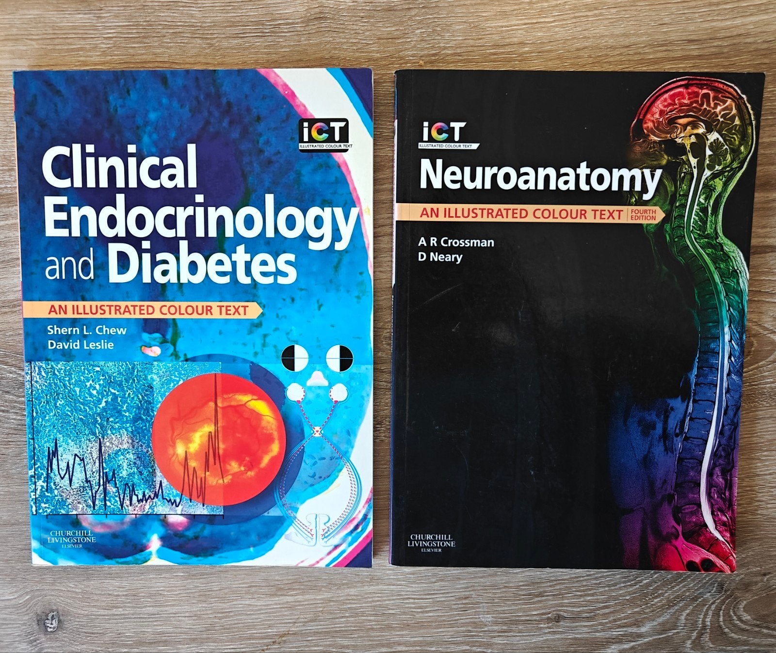 Medische boeken: Neuroanatomie & Klinische Endocrinologie, Boeken, Ophalen of Verzenden, Zo goed als nieuw, Diverse auteurs, Amerika
