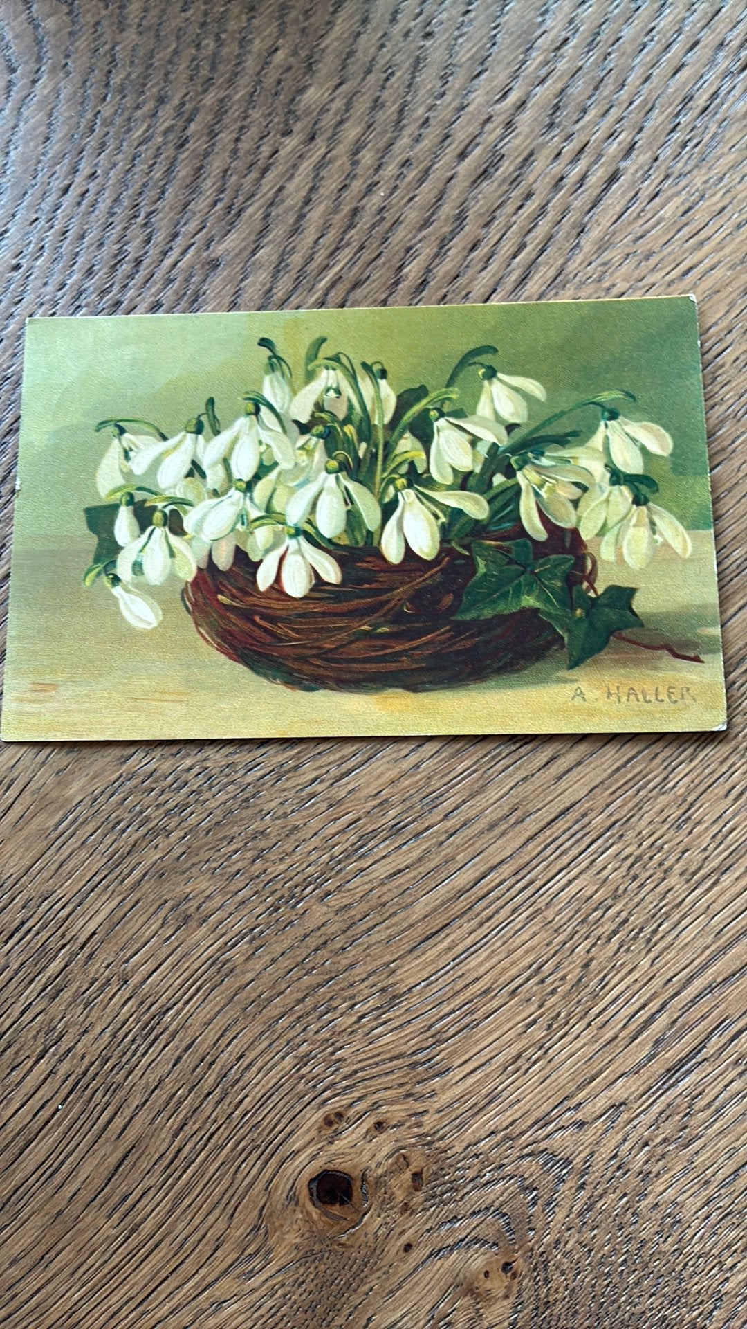 Rieten mandje met sneeuwklokjes.A.HALLER, Verzamelen, Ophalen of Verzenden, Voor 1920, Gelopen