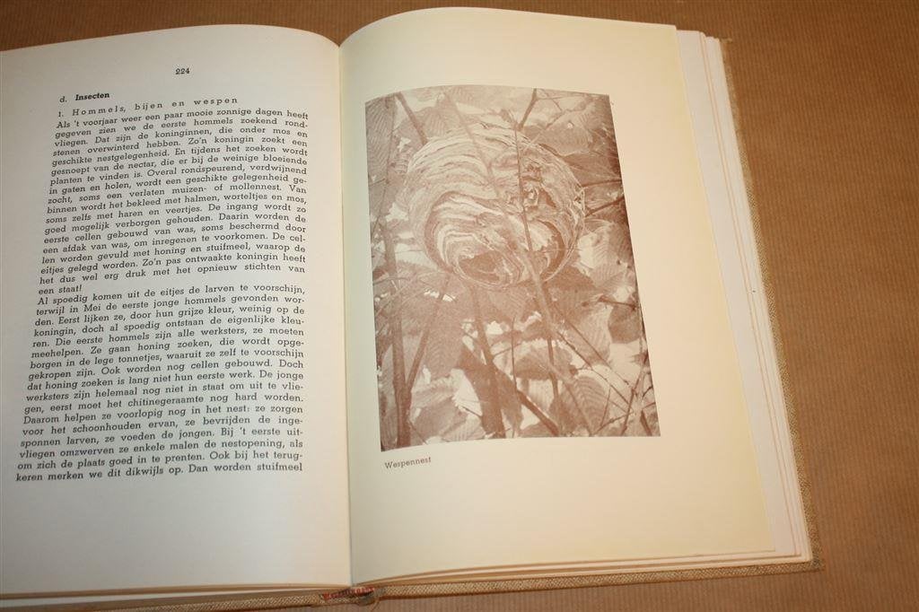 Handleiding Zwerftochten - J.A. Halma - 1949, Ophalen of Verzenden, Gelezen