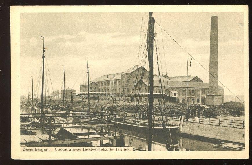 1920 Zevenbergen Beetwortelsuikerfabriek (171-56), Verzamelen, Ophalen, Voor 1920