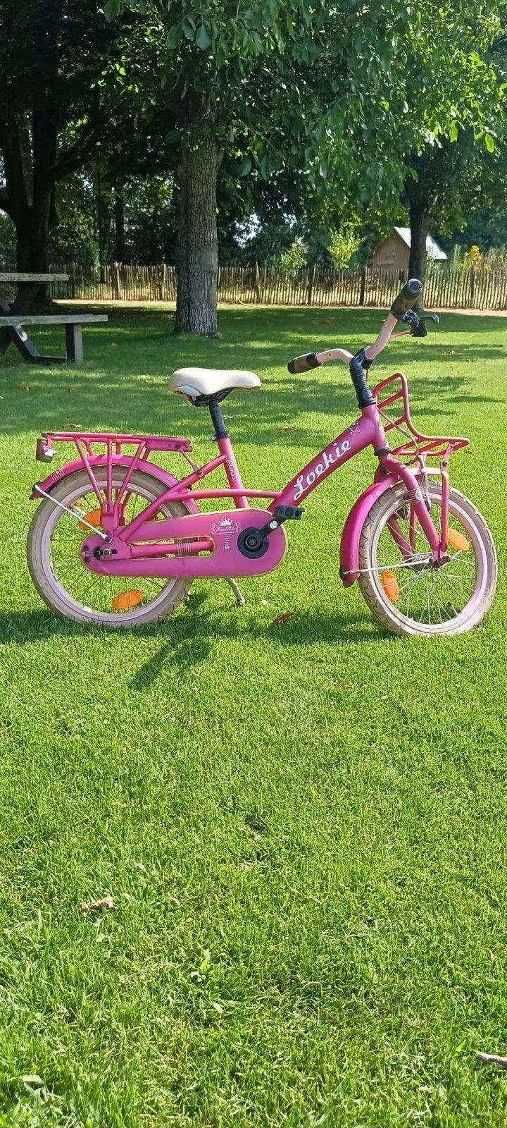 Roze kinderfiets 16 inch - Royal Bike (nieuwe binnenbanden n, Ophalen