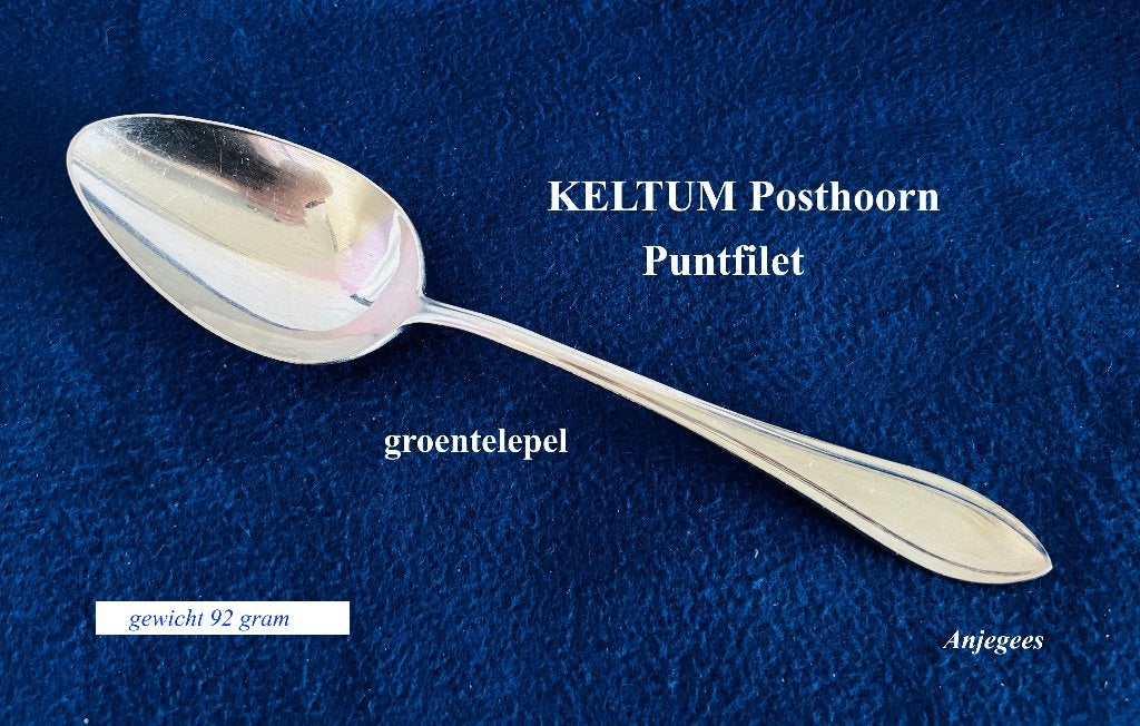 Keltum Puntfilet Grote Groentelepel Verzilverd (26,2cm), Ophalen
