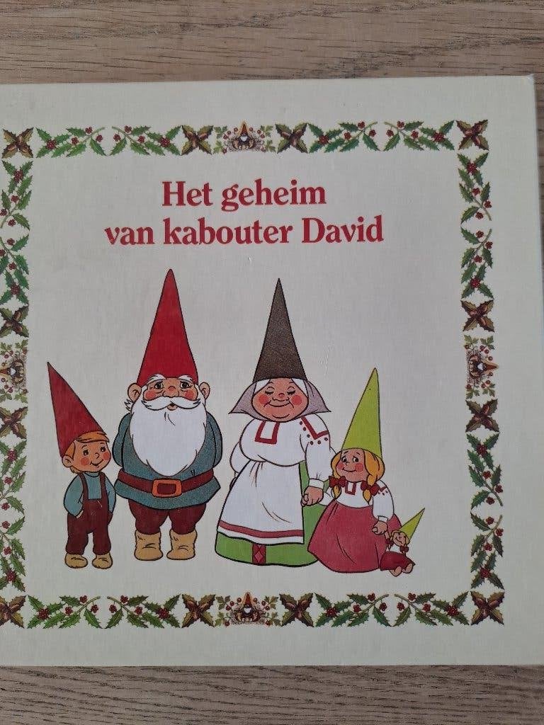HET GEHEIM VAN KABOUTER DAVID. FRANCINE OOMEN., Gelezen, 5 of 6 jaar, Fictie algemeen, Jongen of Meisje