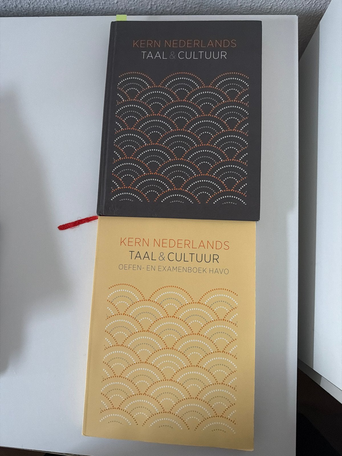 Kern Nederlands Taal & Cultuur - Oefen- en Examenboek HAVO, Boeken, Ophalen of Verzenden, Alpha, Zo goed als nieuw, Overige niveaus
