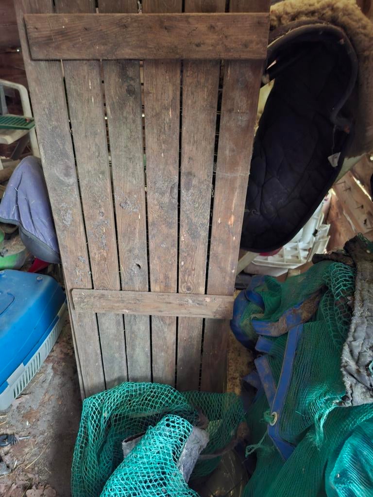 Te koop, Ophalen of Verzenden, 110 cm of meer, Ren, 60 tot 90 cm