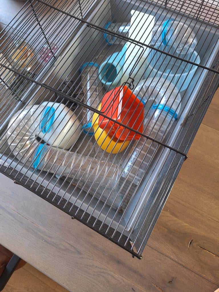 Hamsterkooi, Dieren en Toebehoren, Minder dan 60 cm, Kooi, Minder dan 75 cm, Ophalen of Verzenden