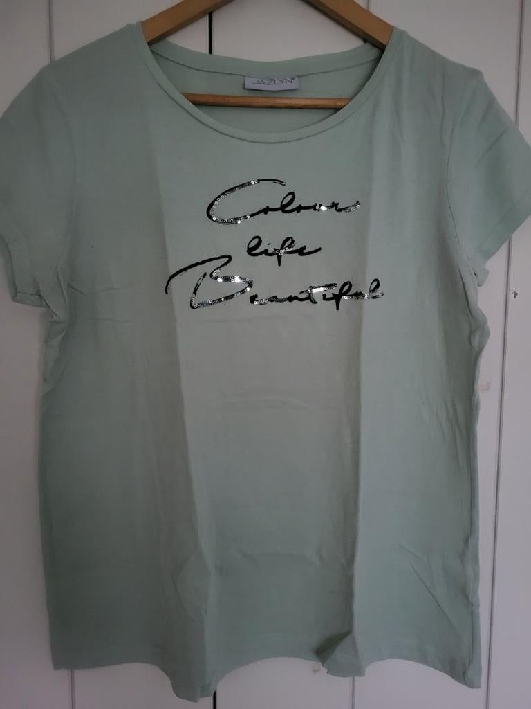 T-shirt van Jazlyn, Maat 38/40 (M), Jazlyn, Verzenden, Zo goed als nieuw