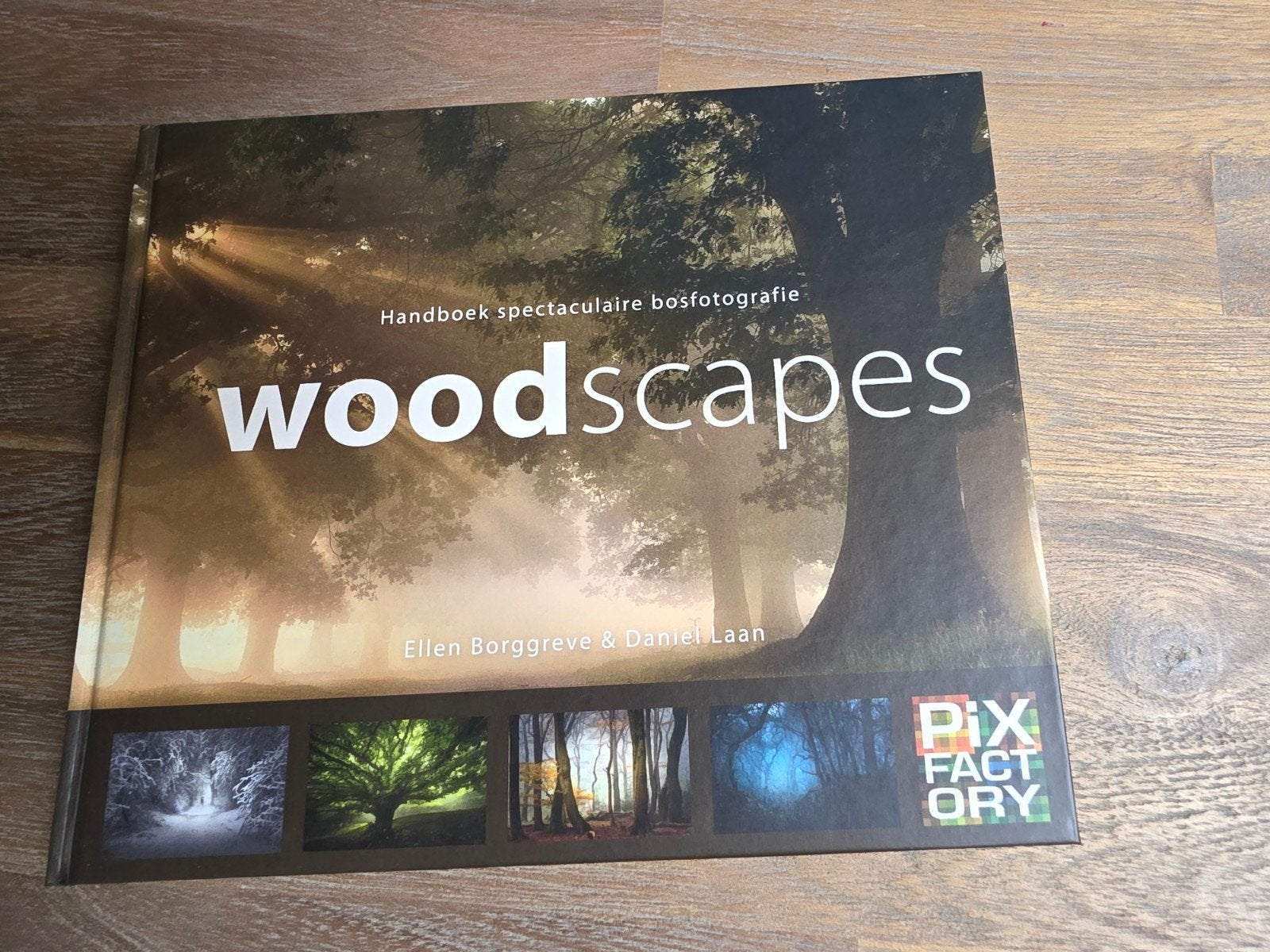 Daniël Laan - Woodscapes, Boeken, Hobby en Vrije tijd, Fotograferen en Filmen, Zo goed als nieuw, Daniël Laan; Ellen Borggreve