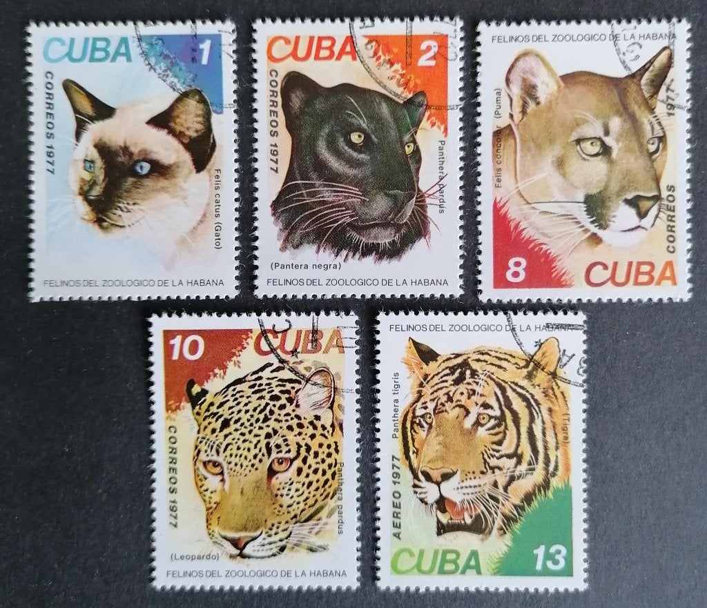 CUBA - katachtigen 1977, Verzenden, Gestempeld, Noord-Amerika