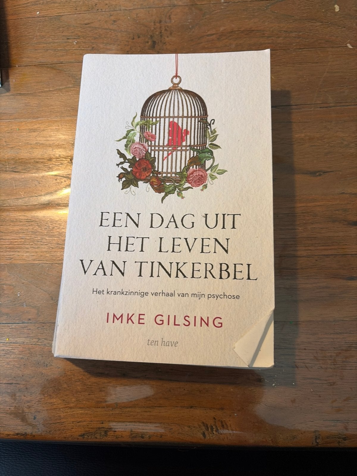 Een Dag Uit Het Leven Van Tinkerbel - Imke Gilsing, Ophalen, Zo goed als nieuw