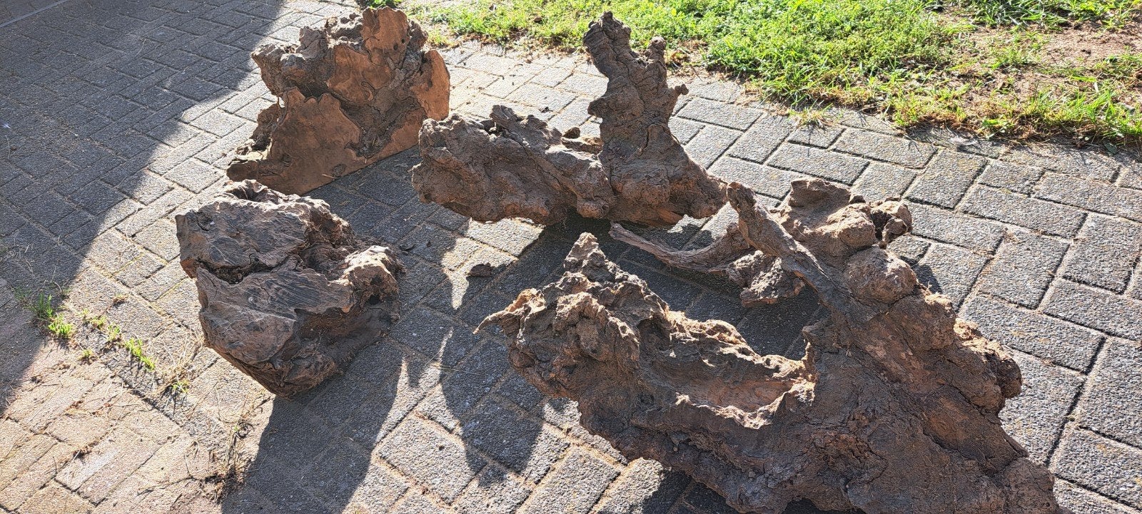 Decoratieve boomwortels voor tuin of interieur, Ophalen, Gebruikt, Hout, Overige typen