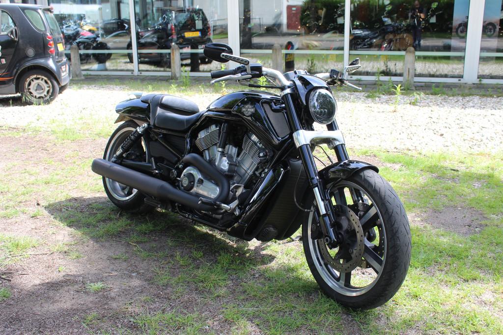 Harley-Davidson VRSC V-Rod VRSCF V-rod Muscle, Motoren, Motoren | Harley-Davidson, Chopper, Bedrijf, Meer dan 35 kW, 1247 cc