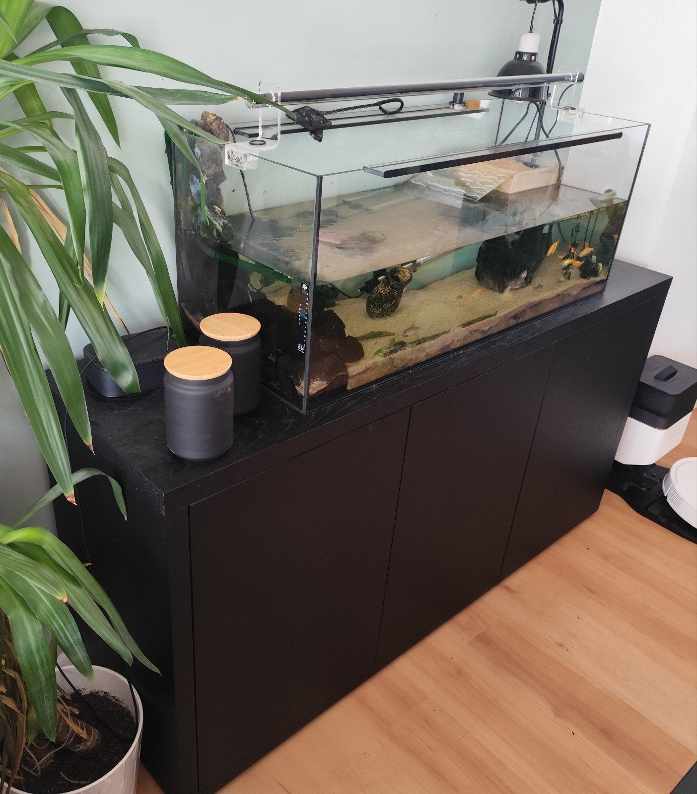 Goossens Dressoir / Aquariumkast - Zwart (158x82x45 cm), Ophalen, 25 tot 50 cm, 150 tot 200 cm, Met deur(en)