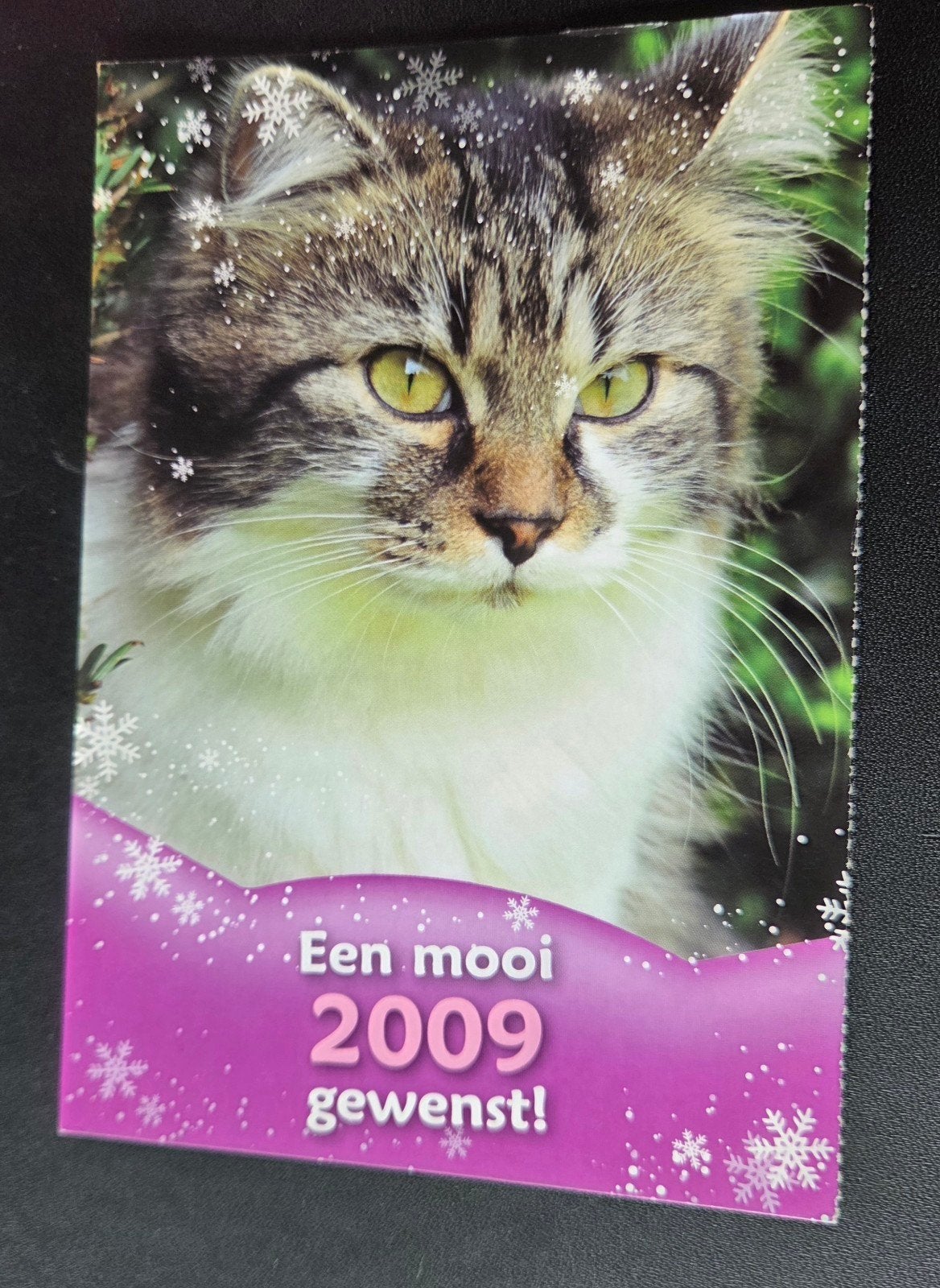 Whiskas 'Make your cat a star' 2009 wenskaart, Verzamelen, Verzenden, 1980 tot heden, Ongelopen, Hond of Kat