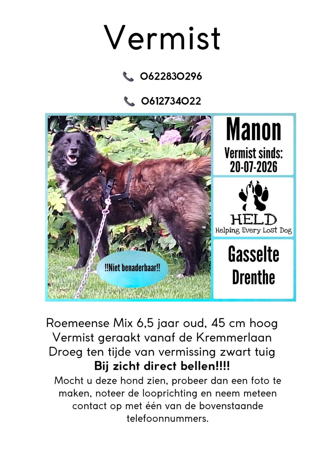 vermist  manon , heeft klein staartje.en zwart tuig om, Dieren en Toebehoren