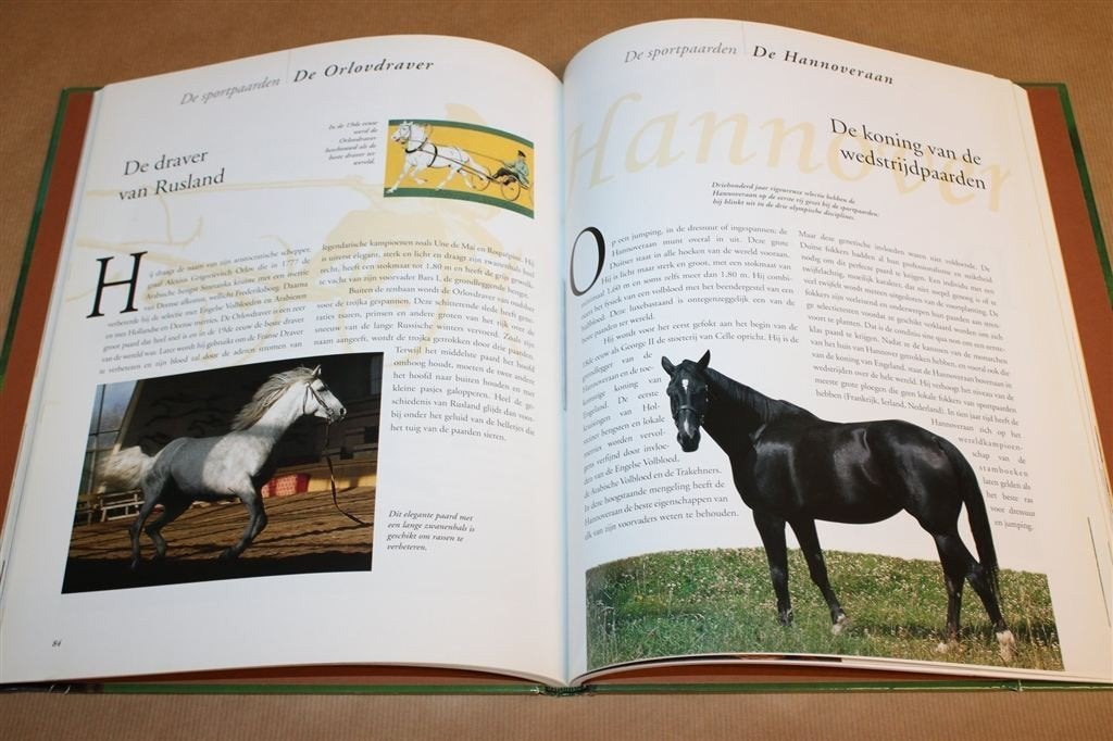 100 Legendarische Paarden — Beroemdste Paarden Aller Tijden, Ophalen of Verzenden, Zo goed als nieuw, Paarden of Pony's