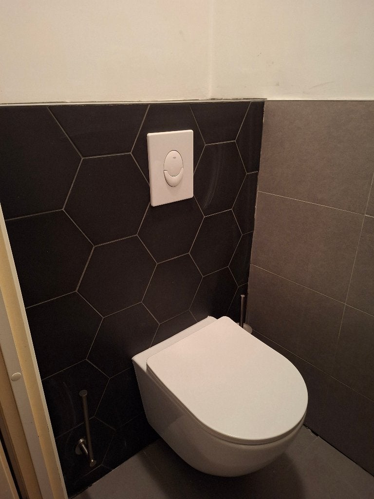 Hangtoilet Victoria, Ophalen, Zo goed als nieuw, Toilet