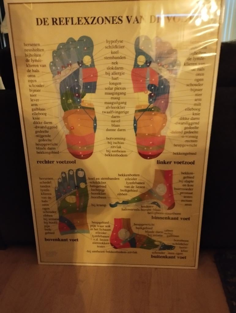 De Reflexzones v d voeten, Ophalen, Overige soorten, Nederland, Overige typen