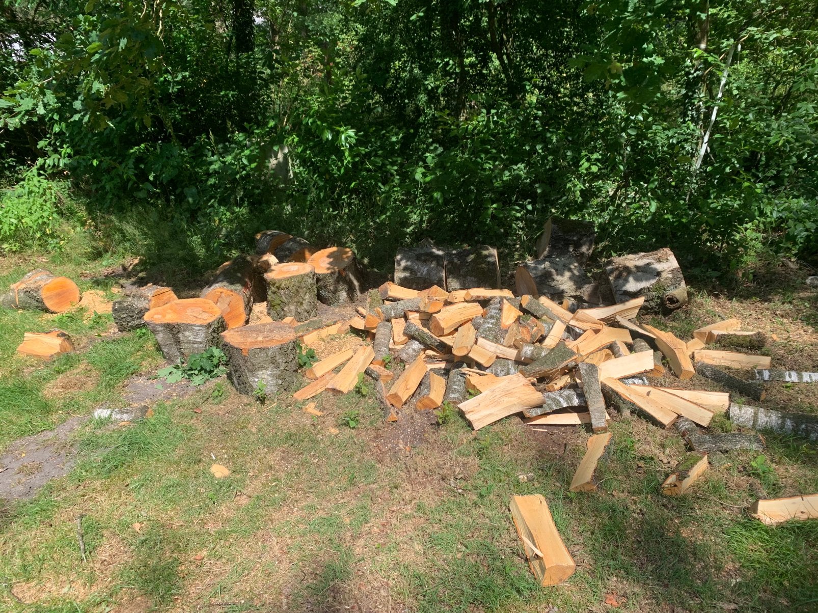 Haardhout ~ Vers gezaagd en gekloofd berkenhout. Bezorging, Minder dan 3 m³, Ophalen, Berkenhout, Blokken