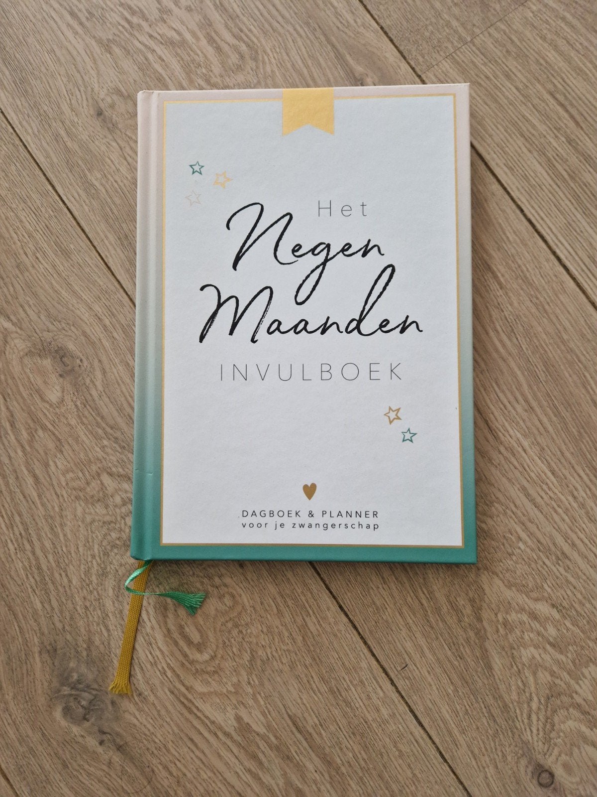 NIEUW! Eva Reinders - Het negen maanden invulboek, Boeken, Zwangerschap en Bevalling, Nieuw, Ophalen of Verzenden, Eva Reinders