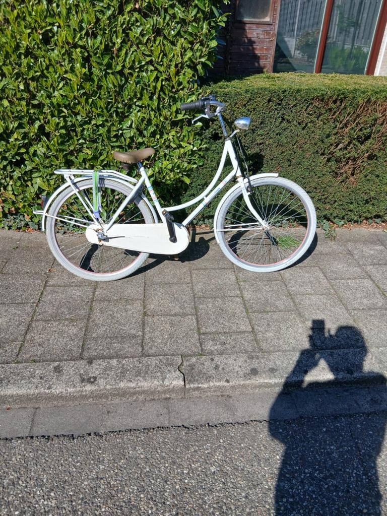 Alpina meisjes fiets 3ver terugtraprem 26inch, Minder dan 47 cm, Ophalen, Gebruikt