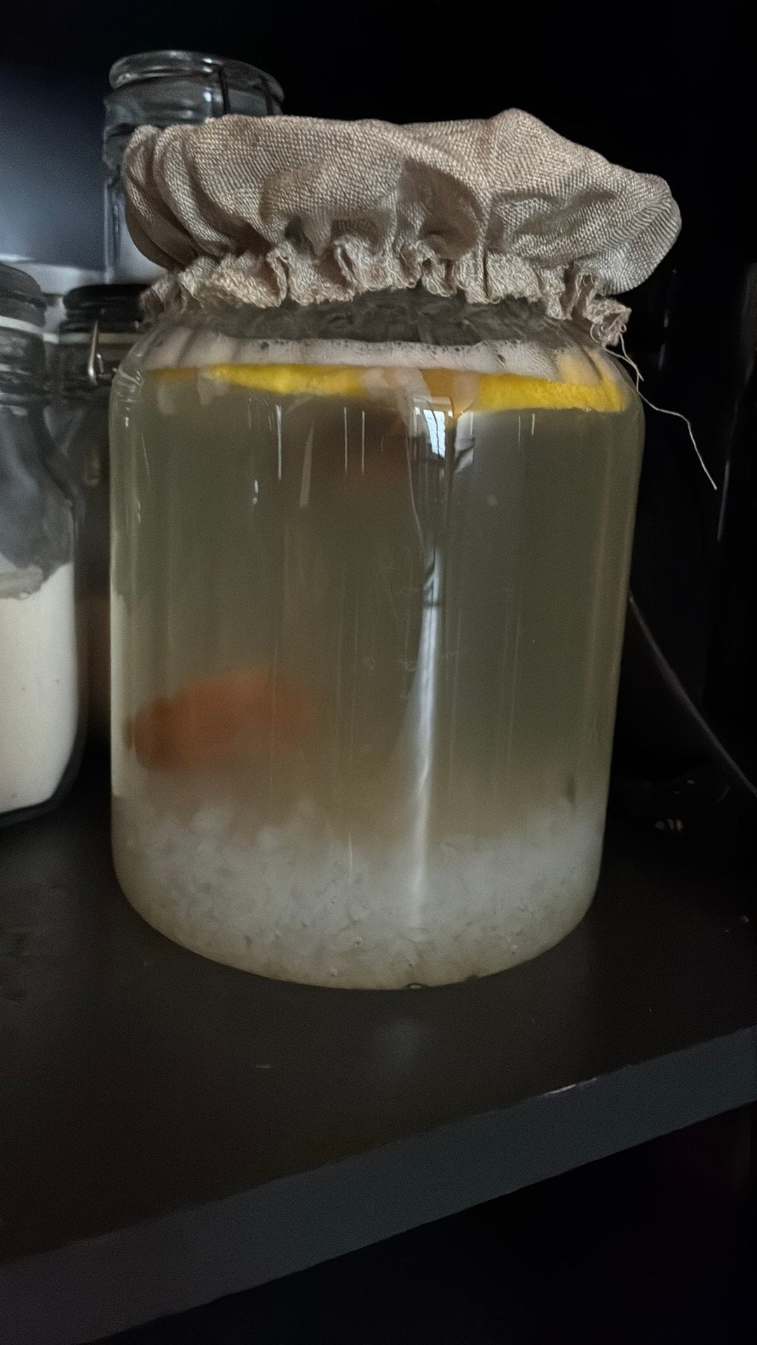 kefir korrels, Diversen, Levensmiddelen, Ophalen of Verzenden