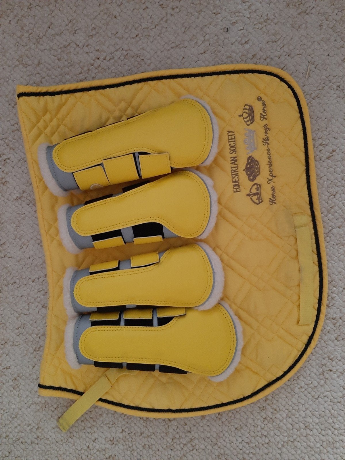 geel harry horse dressuur set Nieuwe flextrainers full, Ophalen of Verzenden, Nieuw