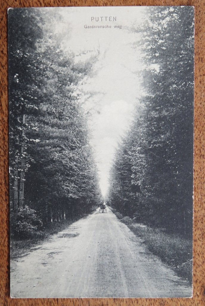 Putten Garderensche ( Garderense ) weg met paard en wagen, Ophalen of Verzenden, Voor 1920, Noord-Brabant