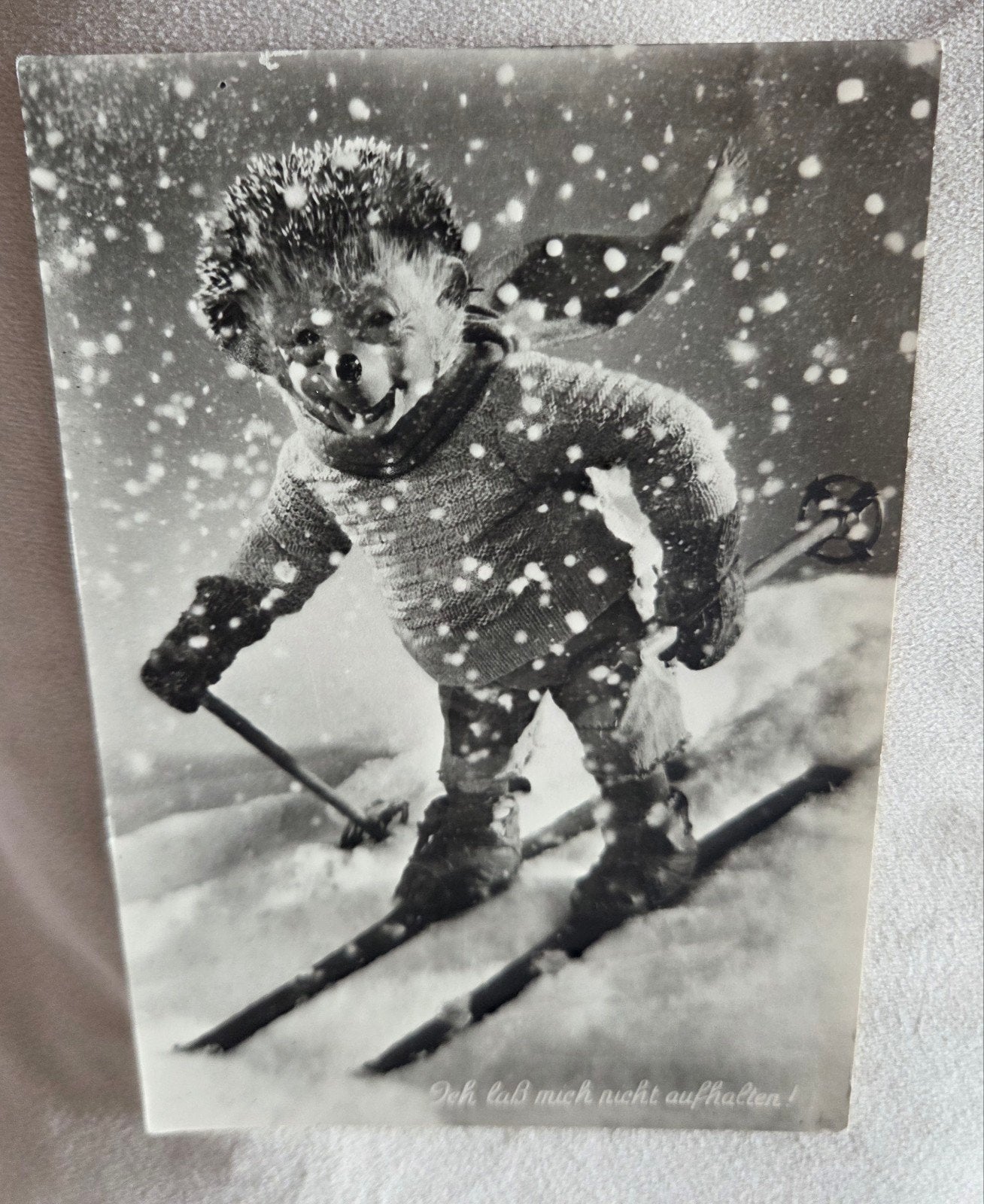 Egel op Ski's - "Ich laß mich nicht aufhalten!", Verzenden, 1960 tot 1980, Ongelopen, Kinderen