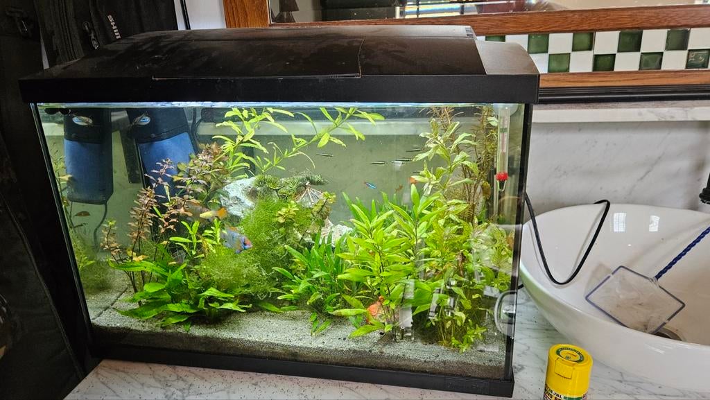 Mooi aquarium 60 liter compleet, Ophalen