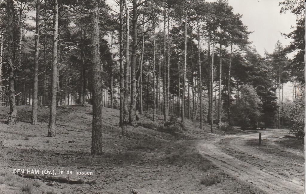 Den Ham, Ophalen of Verzenden, 1940 tot 1960, Gelopen, Overijssel