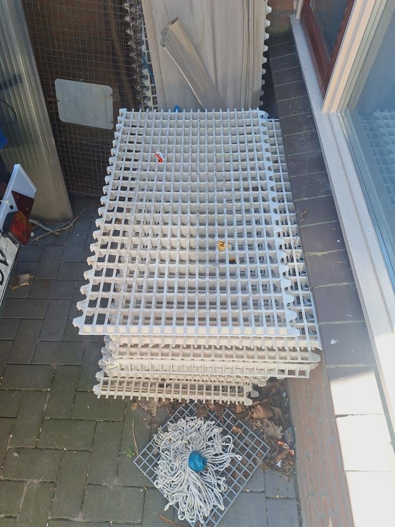 Looproosters, Dieren en Toebehoren, Tuimelaar of Roller