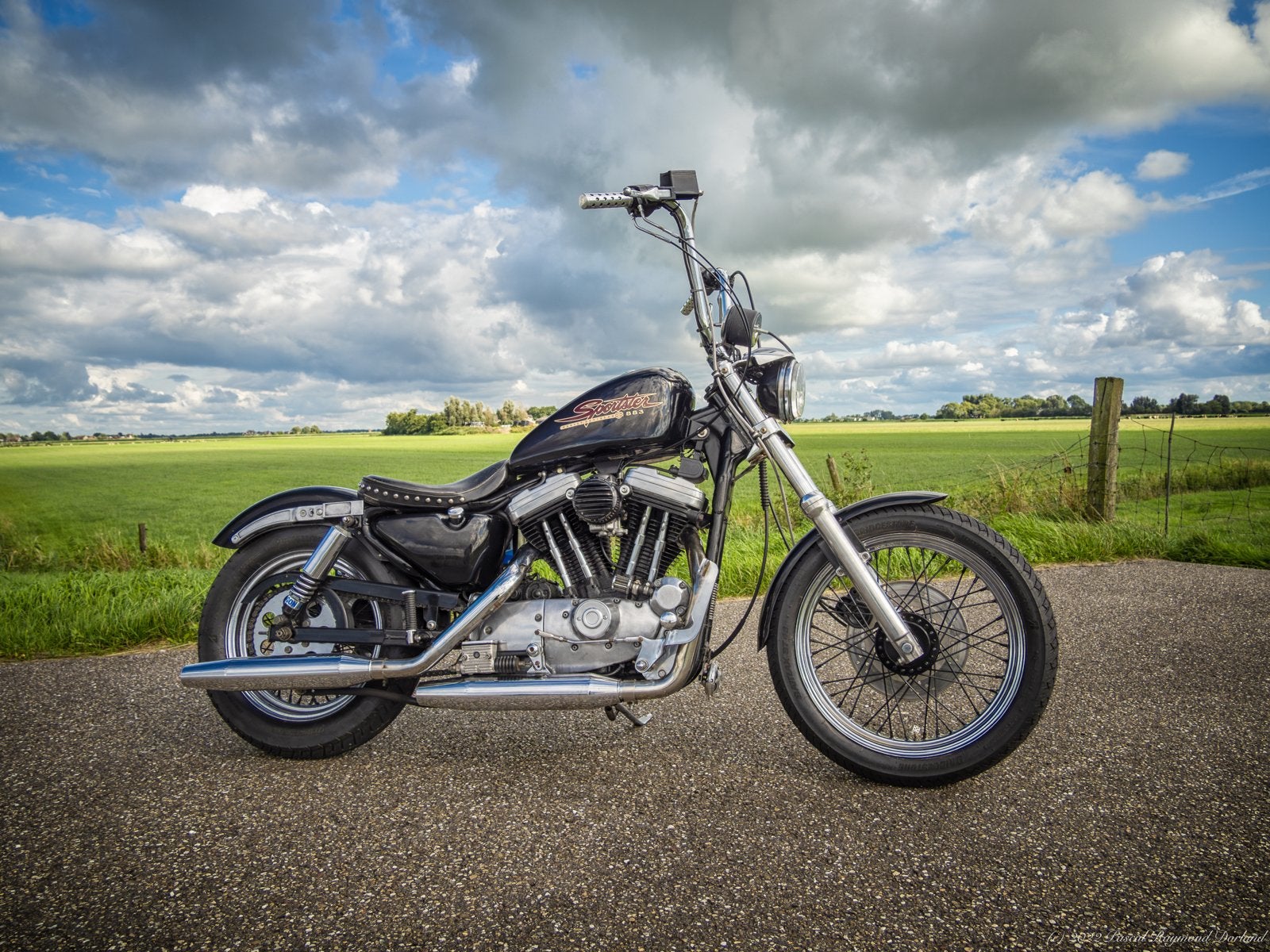 Harley-Davidson Sportster Chopper - Unieke Custom Build, 2 cilinders, Gebruikt, 883 cc, Particulier
