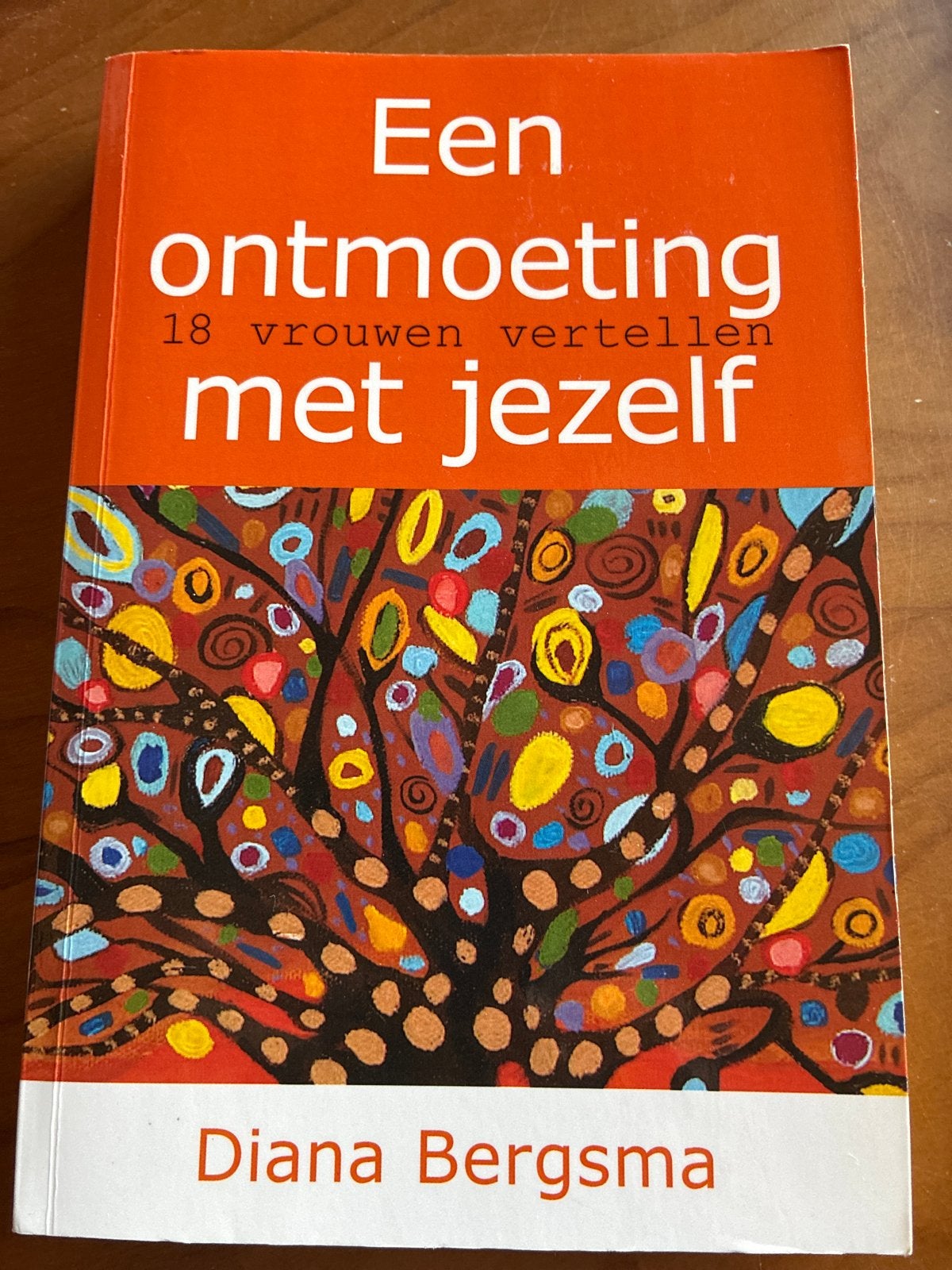 Een ontmoeting met jezelf - Diana Bergsma, Boeken, Advies, Hulp en Training, Gelezen, Ophalen of Verzenden