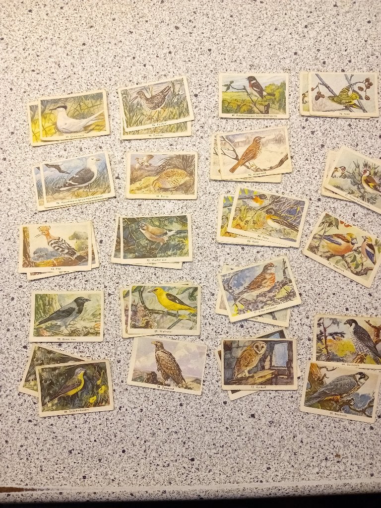 rizla kaartjes, Ophalen of Verzenden, Zo goed als nieuw, Overige onderwerpen