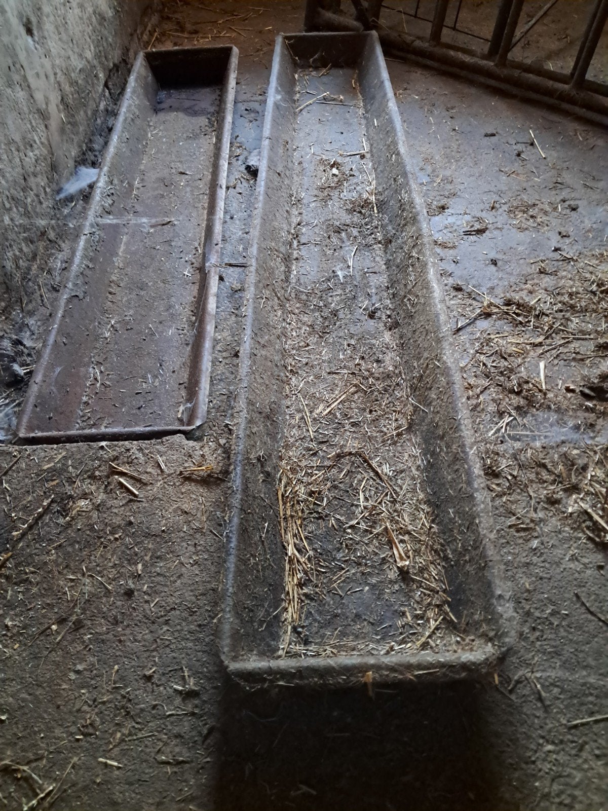 voerbak, Meerdere dieren, Varken