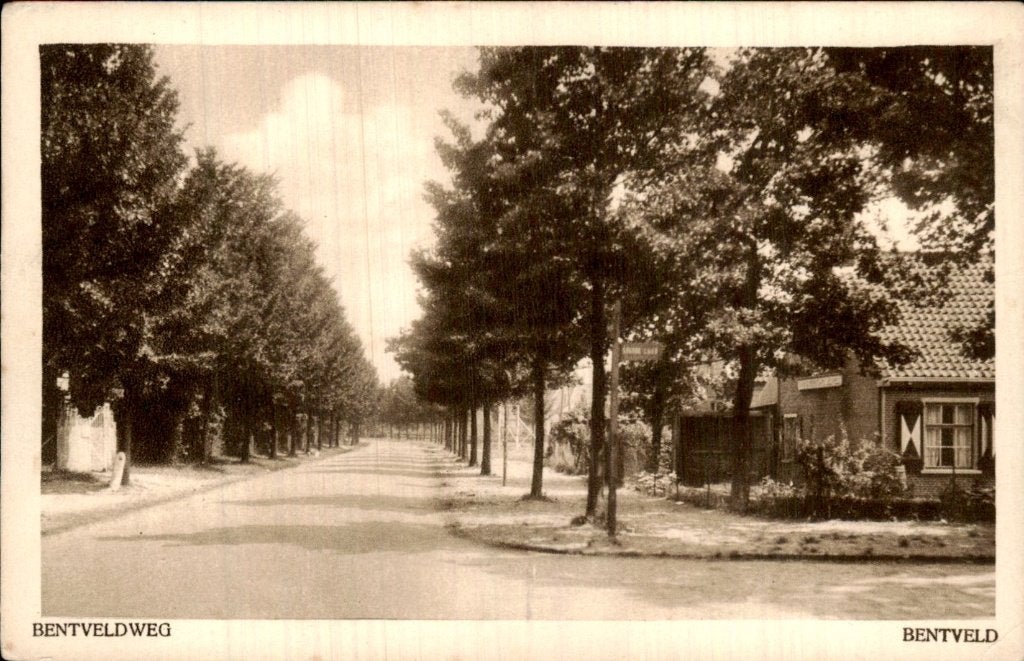 Bentveld - Bentveldweg - laan met bomen, Ophalen of Verzenden, 1920 tot 1940, Ongelopen, Noord-Holland