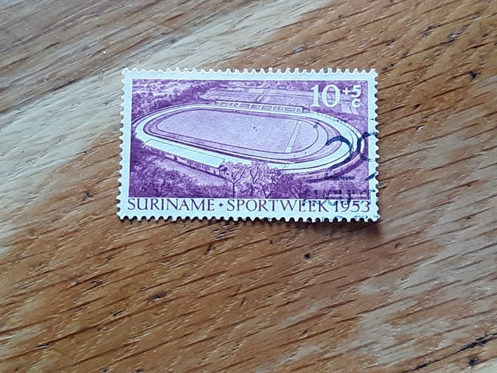 suriname gestempeld nr 309, Ophalen of Verzenden, Gestempeld
