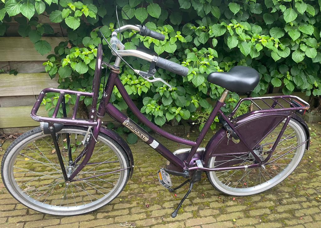 Popal meisjes fiets omafiets fiets oma meisjesfiets paars 26, Fietsen en Brommers, Ophalen of Verzenden, Gebruikt, 26 inch of meer