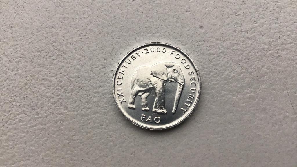 Somalie 5 shilling 2000., Postzegels en Munten, Munten | Afrika, Ophalen of Verzenden