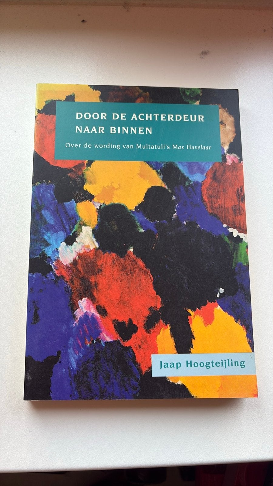 Door de Achterdeur naar Binnen - Jaap Hoogteijling, Boeken, Ophalen of Verzenden, Zo goed als nieuw, Nederland
