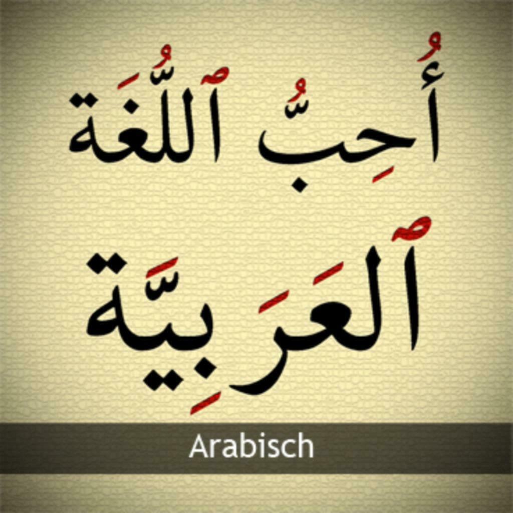 Arabisch leren?, Privéles, Bijles