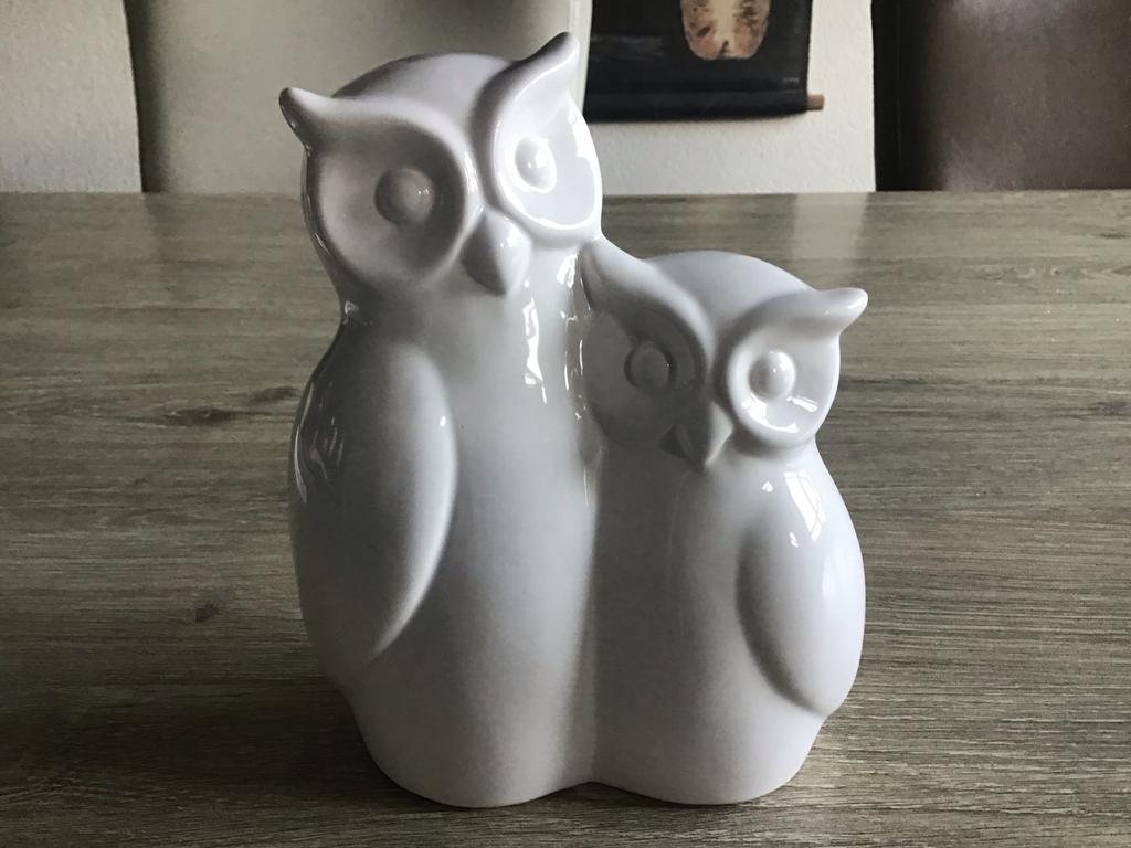 Ritzenhoff & Breker Uilen Set, Ophalen of Verzenden, Zo goed als nieuw, Porselein, Overige typen