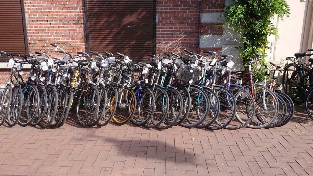Voordelige stadsfietsen damesfiets / herenfiets /omafiets