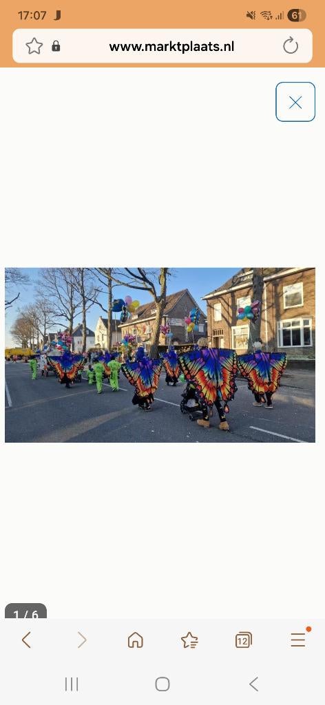Carnaval loopgroep Vlinders en rupsen, Carnaval, Kleding, Ophalen, Maat 38/40 (M)