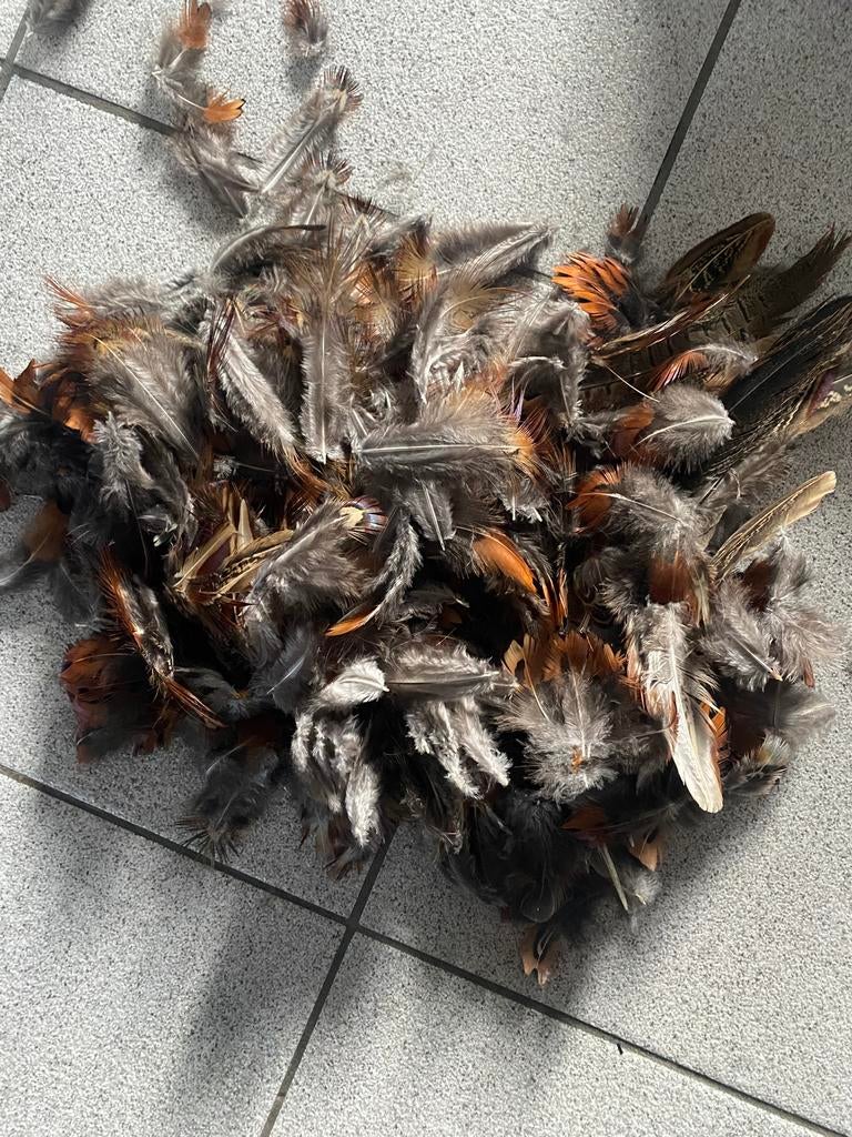 Fazant veren, Hobby en Vrije tijd, Knutselen, Ophalen of Verzenden