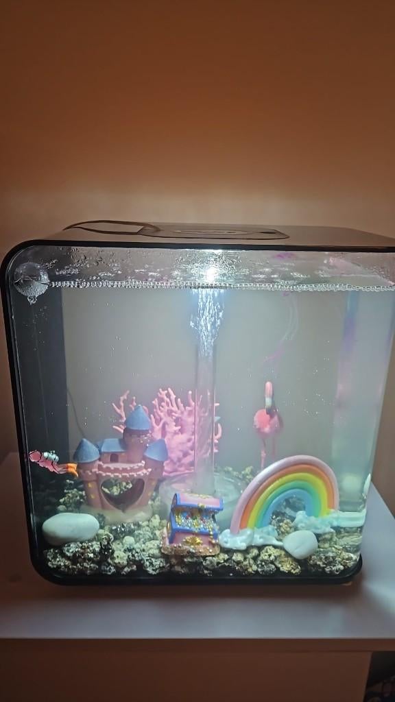 BiOrb 30 liter aquarium zwart, Ophalen, Gebruikt, Leeg aquarium