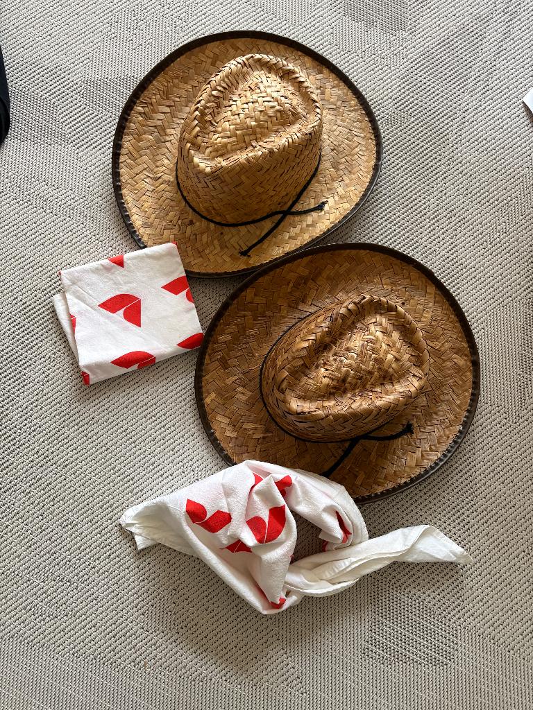 2 stuks Cowboy hoed incl. sjaaltjes, Carnaval, Nieuw, Overige maten, Ophalen of Verzenden