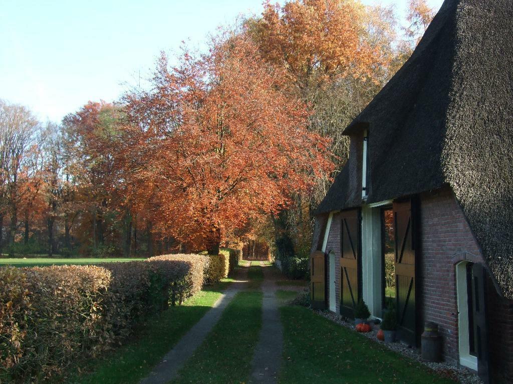 Vakantieboerderij - Vakantiehuis - Vakantie woning, In bos, 2 slaapkamers, Overijssel, Landelijk
